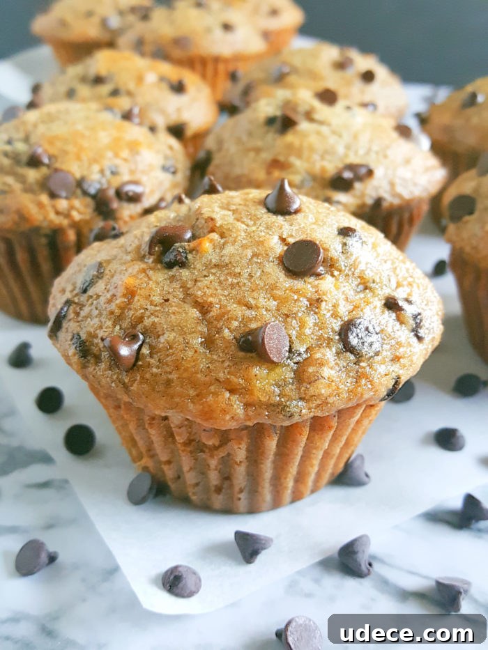 Greek Yogurt Chocolate Chip Banana Muffins — Moist Banana Muffins 6 Healthy Greek Yogurt Chocolate Chip Banana Muffins - No butter, sugar, or oil. Moist, low fat, full of fiber, and the greek yogurt adds protein. Made with whole wheat flour, naturally sweetened and studded with chocolate chips for a little indulgence.