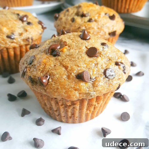 Greek Yogurt Chocolate Chip Banana Muffins — Moist Banana Muffins 7 Healthy Greek Yogurt Chocolate Chip Banana Muffins - No butter, sugar, or oil. Moist, low fat, full of fiber, and the greek yogurt adds protein. Made with whole wheat flour, naturally sweetened and studded with chocolate chips for a little indulgence.