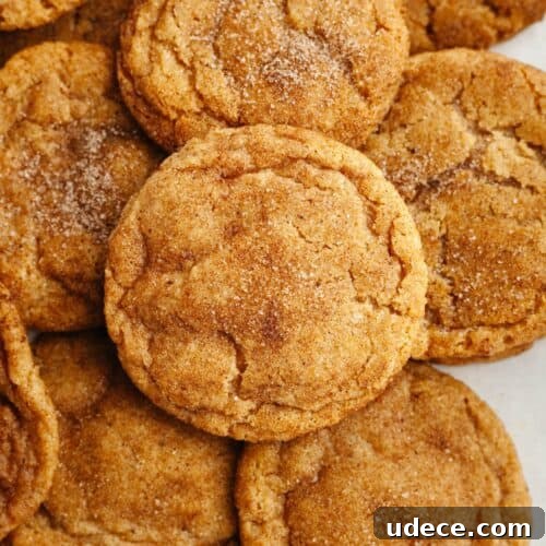 A close up of chewy pumpkin cookies.
