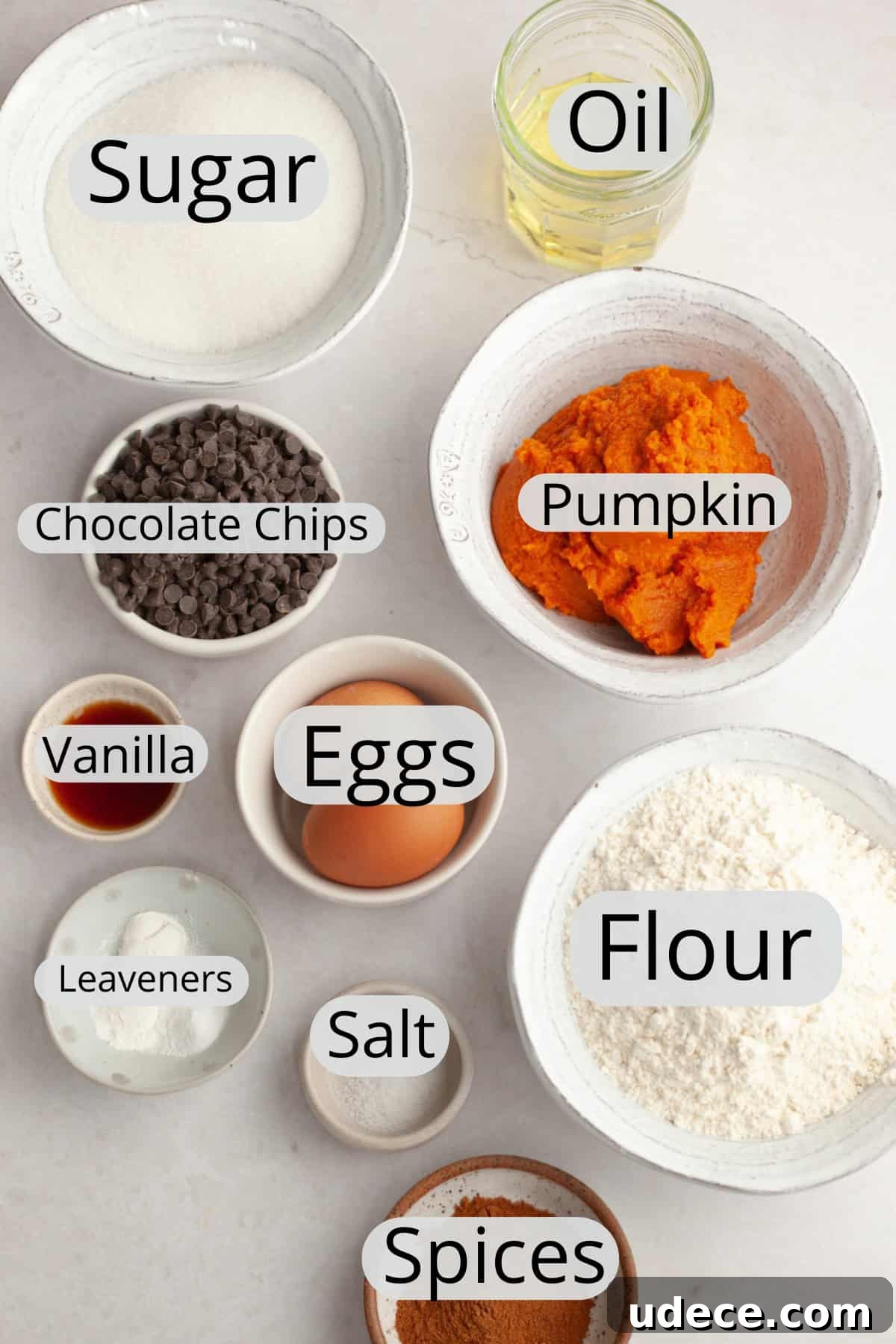 All the ingredients needed to make a chocolate chip pumpkin cake, weighed out into small bowls.