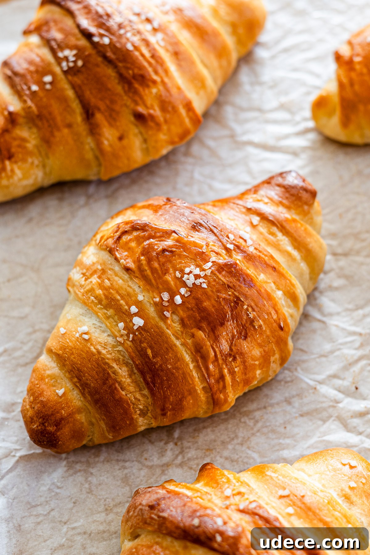 Shio Croissant Recipe: How to Make Japanese Salted Croissants 2 shio croissant topped with rock salt on parchment paper