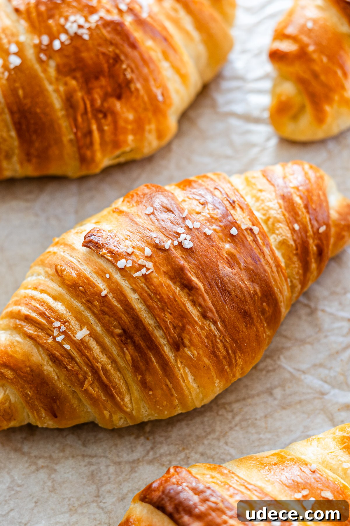Shio Croissant Recipe: How to Make Japanese Salted Croissants 7 img 21707 6