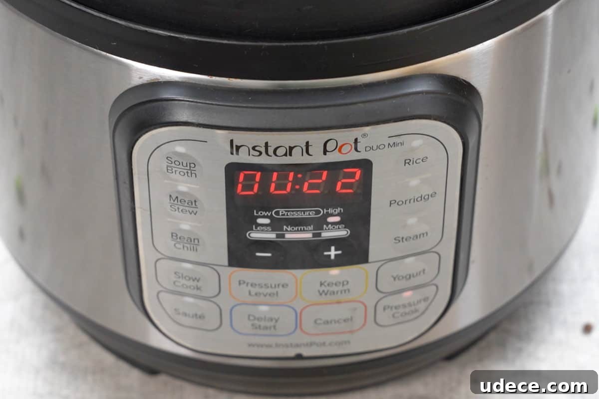 Flavorful Brown Rice Pulao: Aromatic One-Pot Indian Rice Recipe 9 Timer set to 22 minutes at high pressure.