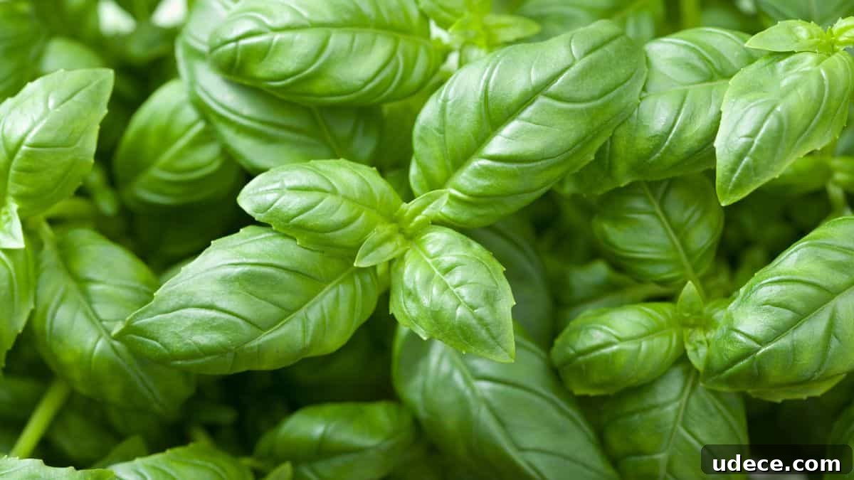 15 Flavorful Seasonings to Transform Tuna Recipes 15 basil