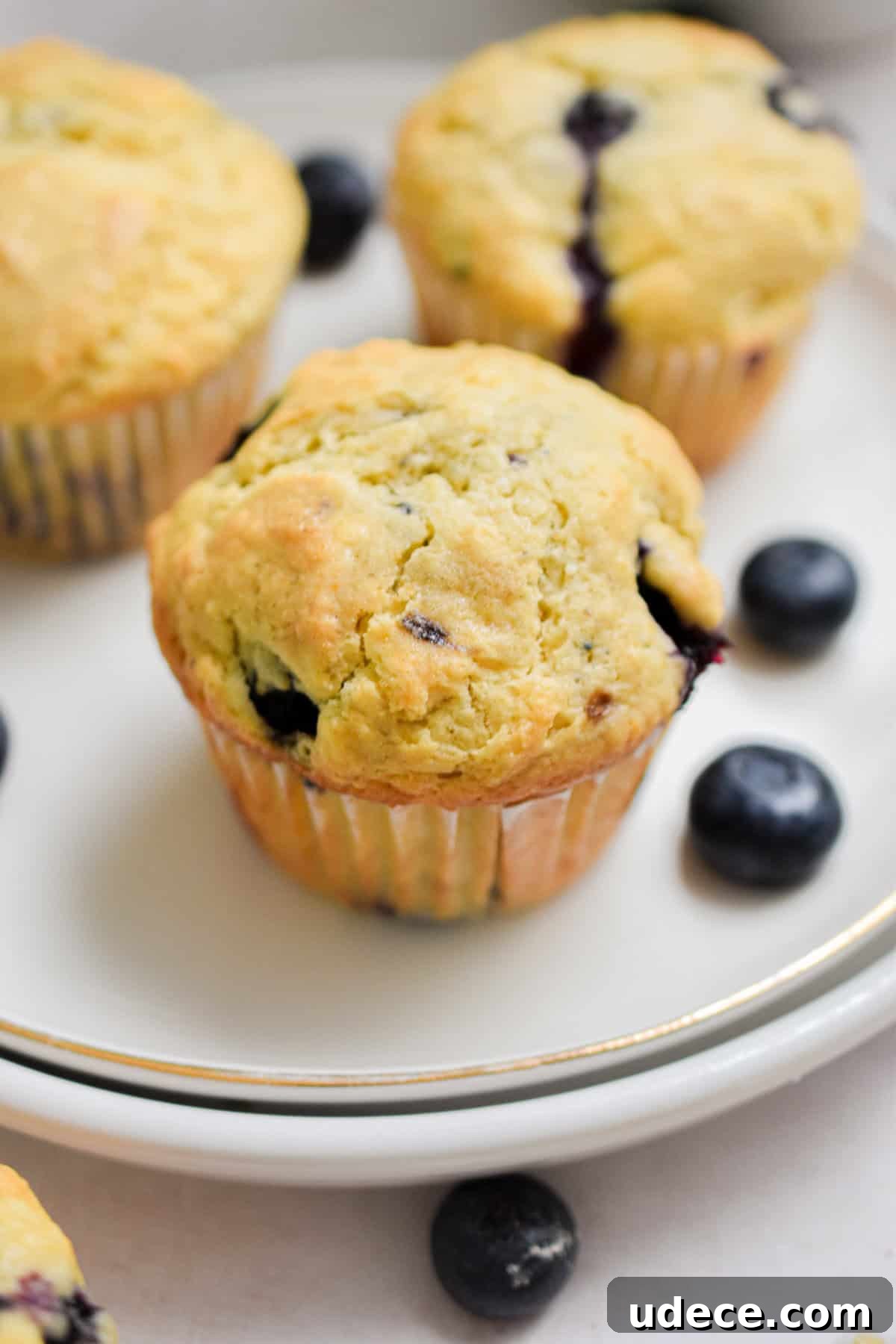 A blueberry muffin with self rising flour is on a plate surrounded by other muffins and a few blueberries.