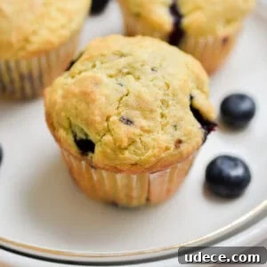A blueberry muffins with self rising flour is on a plate surrounded by other muffins and blueberries.
