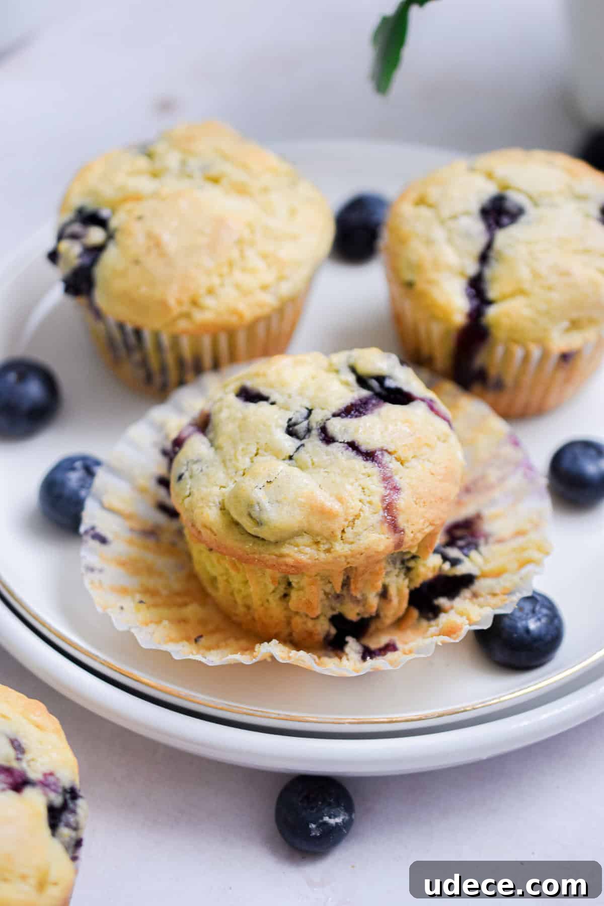 A blueberry muffin with self rising flour is unwrapped and on a plate with other muffins.