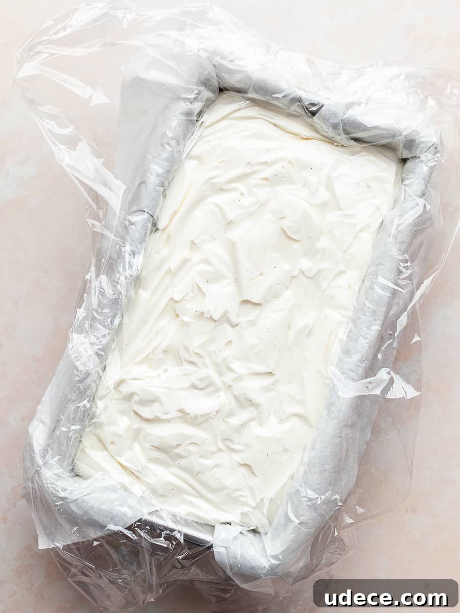 No-Churn Vanilla Ice Cream (Gluten-Free Recipe) 12 img 23087 11