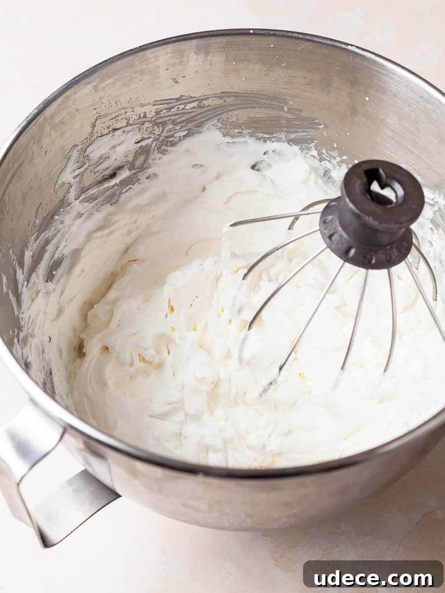 No-Churn Vanilla Ice Cream (Gluten-Free Recipe) 8 img 23087 7