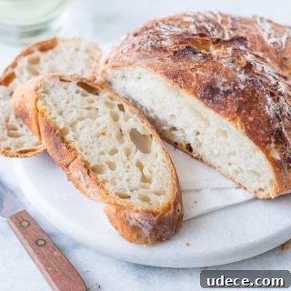 No-Knead Artisan White Bread Recipe for Soft, Crusty Loaves 3 img 23341 5