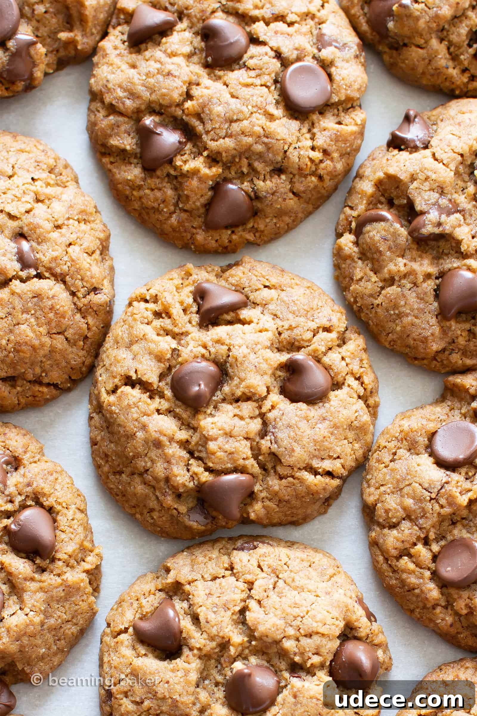 Vegan Paleo Chocolate Chip Cookies with Coconut Flour (Gluten-Free) 3 Vegan Paleo Chocolate Chip Cookies Recipe: the BEST paleo chocolate chip cookies made with coconut flour. Think: chewy exterior, soft interior, bursting with melty chocolate goodness! Meet your favorite gluten free chocolate chip cookies. #Paleo #Chocolate #Cookies #Vegan #GrainFree | Recipe at BeamingBaker.com