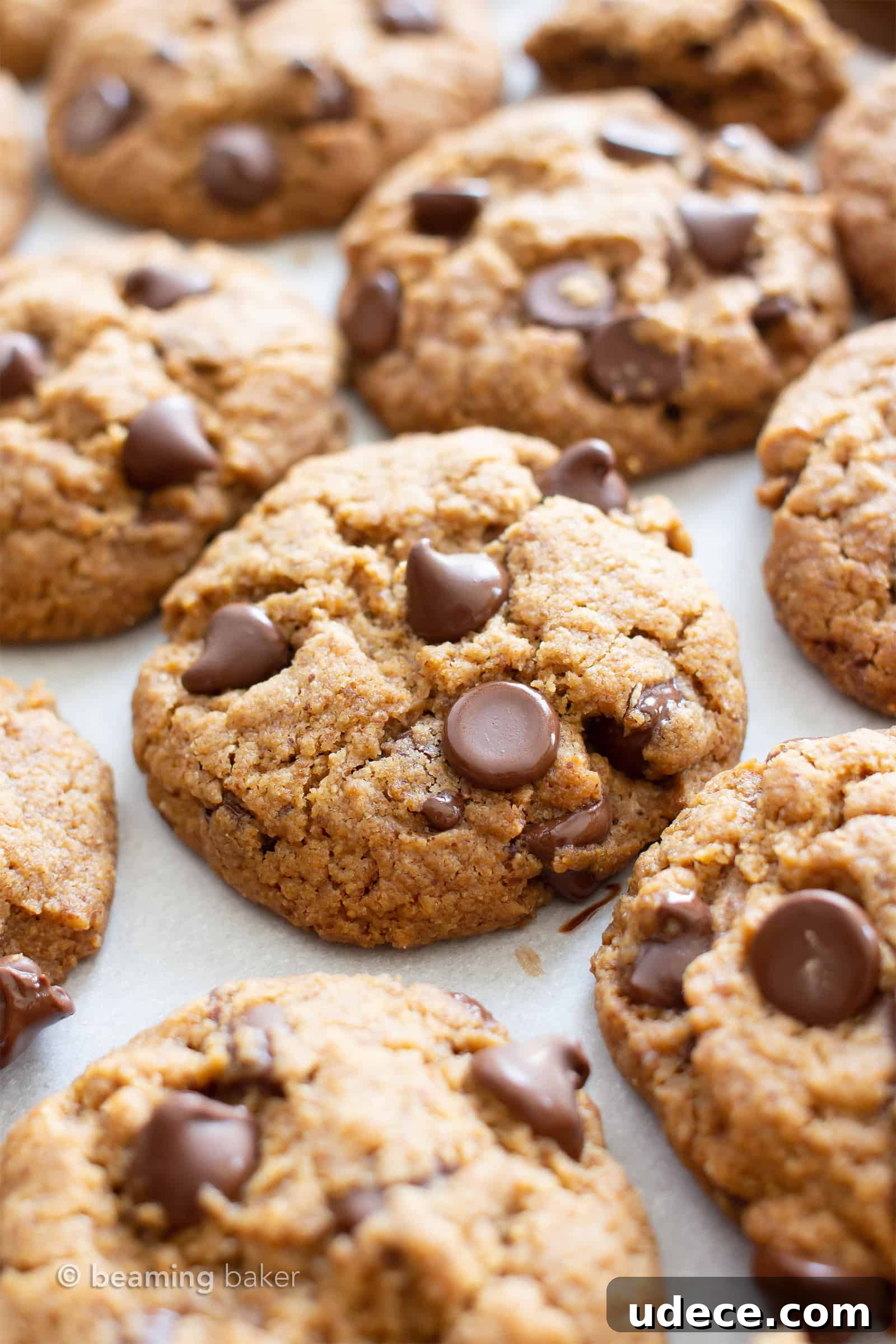 Vegan Paleo Chocolate Chip Cookies with Coconut Flour (Gluten-Free) 4 Vegan Paleo Chocolate Chip Cookies Recipe: the BEST paleo chocolate chip cookies made with coconut flour. Think: chewy exterior, soft interior, bursting with melty chocolate goodness! Meet your favorite gluten free chocolate chip cookies. #Paleo #Chocolate #Cookies #Vegan #GrainFree | Recipe at BeamingBaker.com