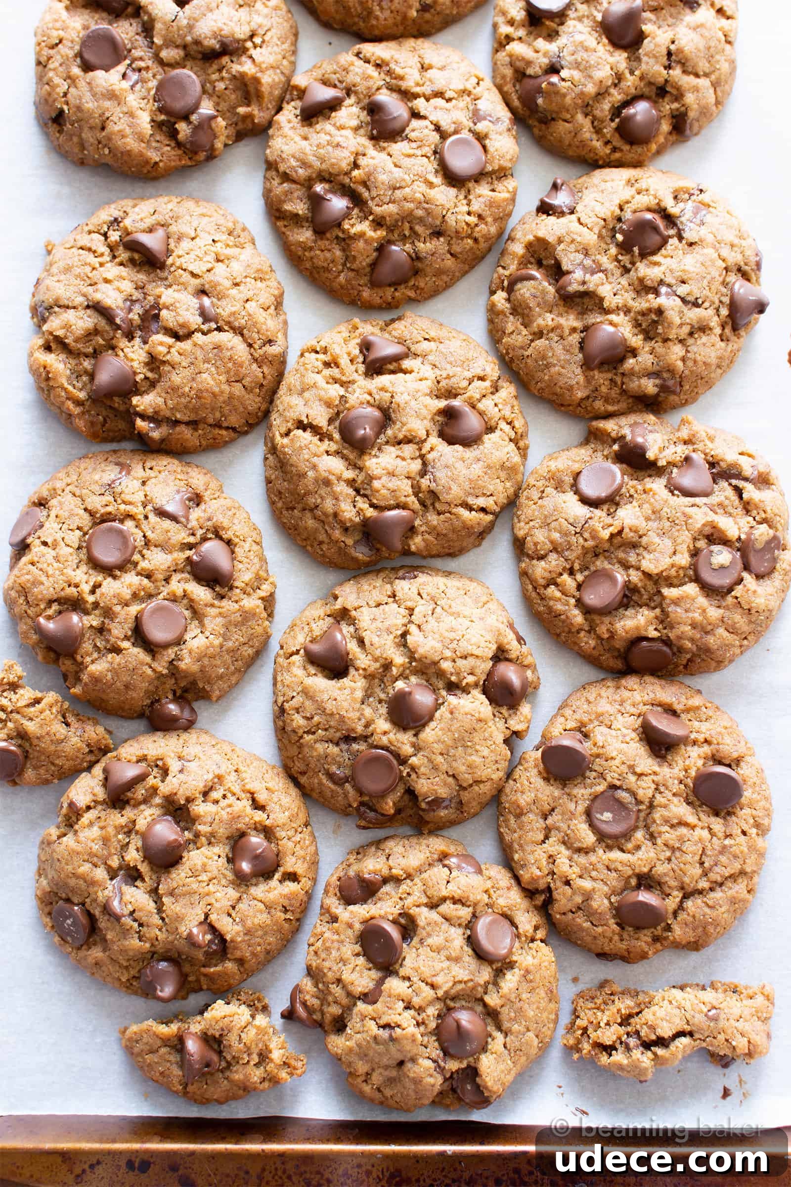 Vegan Paleo Chocolate Chip Cookies with Coconut Flour (Gluten-Free) 5 Vegan Paleo Chocolate Chip Cookies Recipe: the BEST paleo chocolate chip cookies made with coconut flour. Think: chewy exterior, soft interior, bursting with melty chocolate goodness! Meet your favorite gluten free chocolate chip cookies. #Paleo #Chocolate #Cookies #Vegan #GrainFree | Recipe at BeamingBaker.com