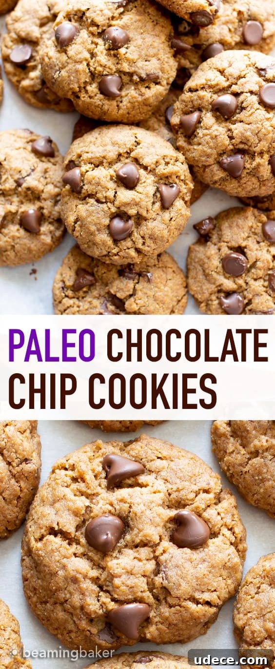 Vegan Paleo Chocolate Chip Cookies with Coconut Flour (Gluten-Free) 6 Vegan Paleo Chocolate Chip Cookies Recipe: the BEST paleo chocolate chip cookies made with coconut flour. Think: chewy exterior, soft interior, bursting with melty chocolate goodness! Meet your favorite gluten free chocolate chip cookies. #Paleo #Chocolate #Cookies #Vegan #GrainFree | Recipe at BeamingBaker.com