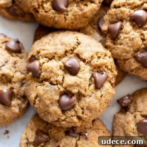 Vegan Paleo Chocolate Chip Cookies Recipe