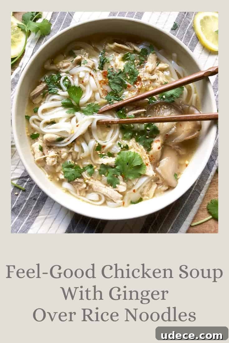 Feel-Good Chicken Soup With Ginger Over Rice Noodles