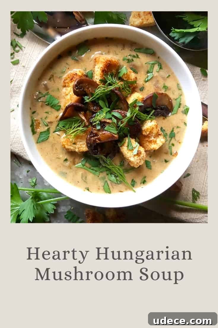 hearty hungarian mushroom soup