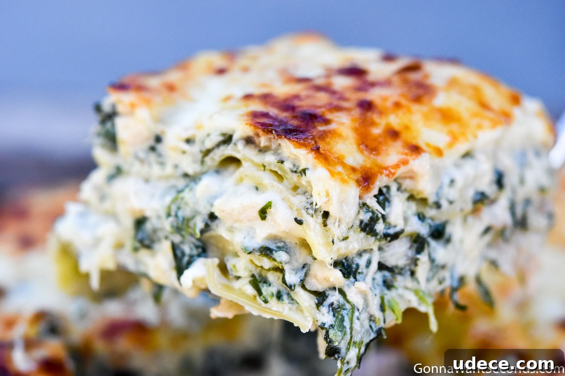 Chicken Alfredo Lasagna a slice of Chicken Alfredo Lasagna
