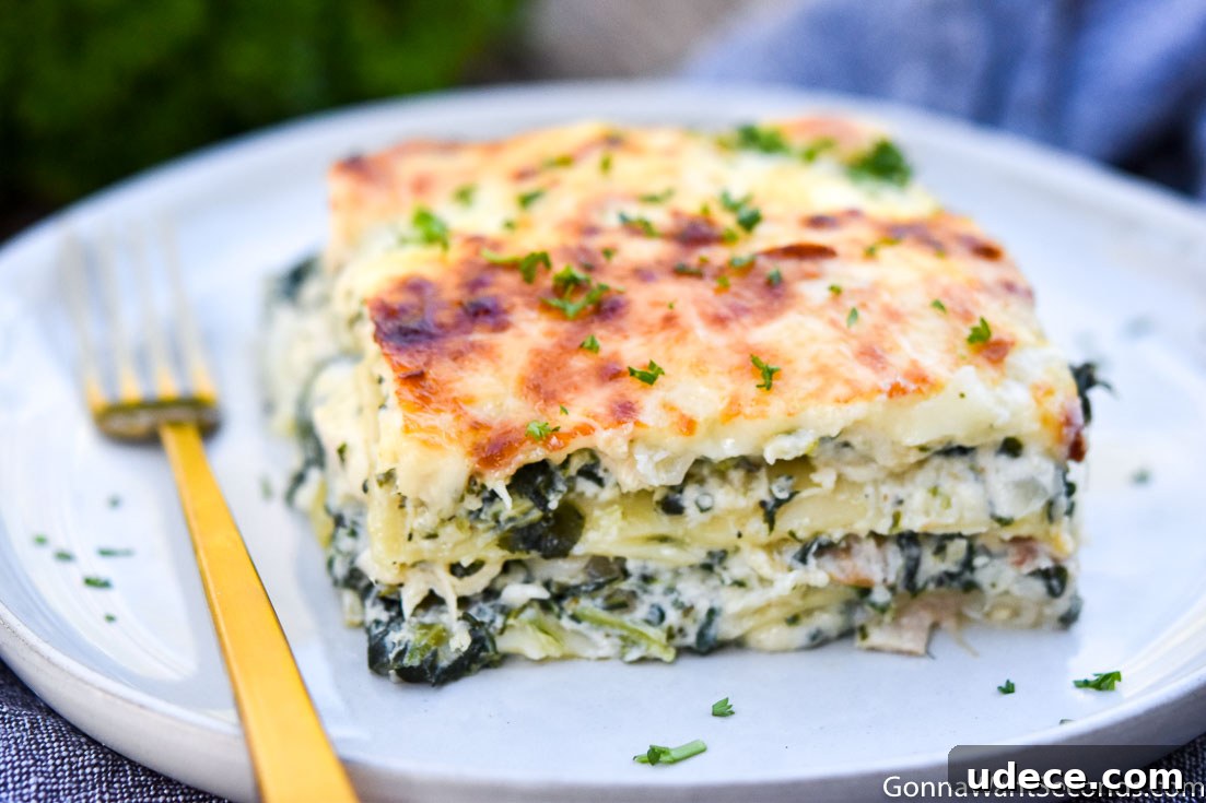 Chicken Alfredo Lasagna A slice of Chicken Alfredo Lasagna