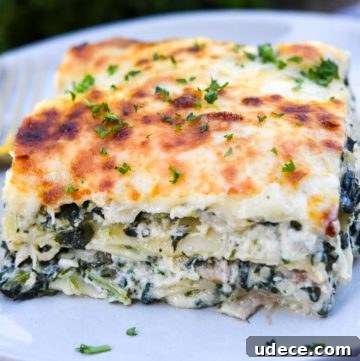 A slice of Chicken lasagna on a plate
