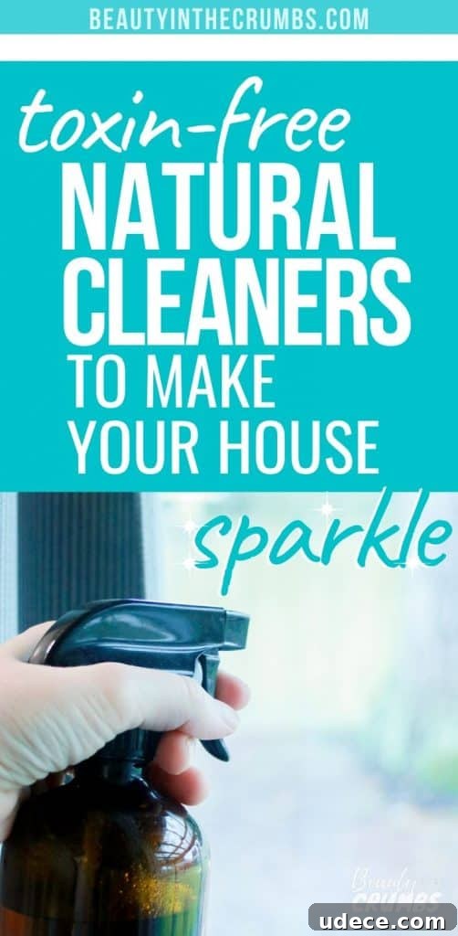 homemade household cleaning products for cheap