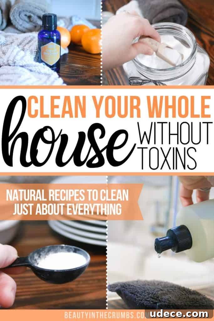homemade household cleaning products