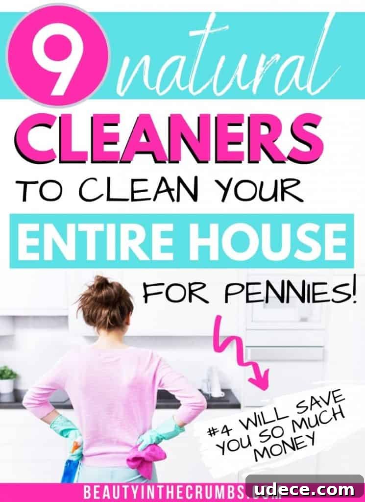 homemade household cleaning products