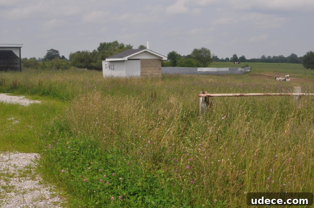 Amish Journey Photo Highlights: Authentic Moments from Amish Life 11 Farm scene in Amish country