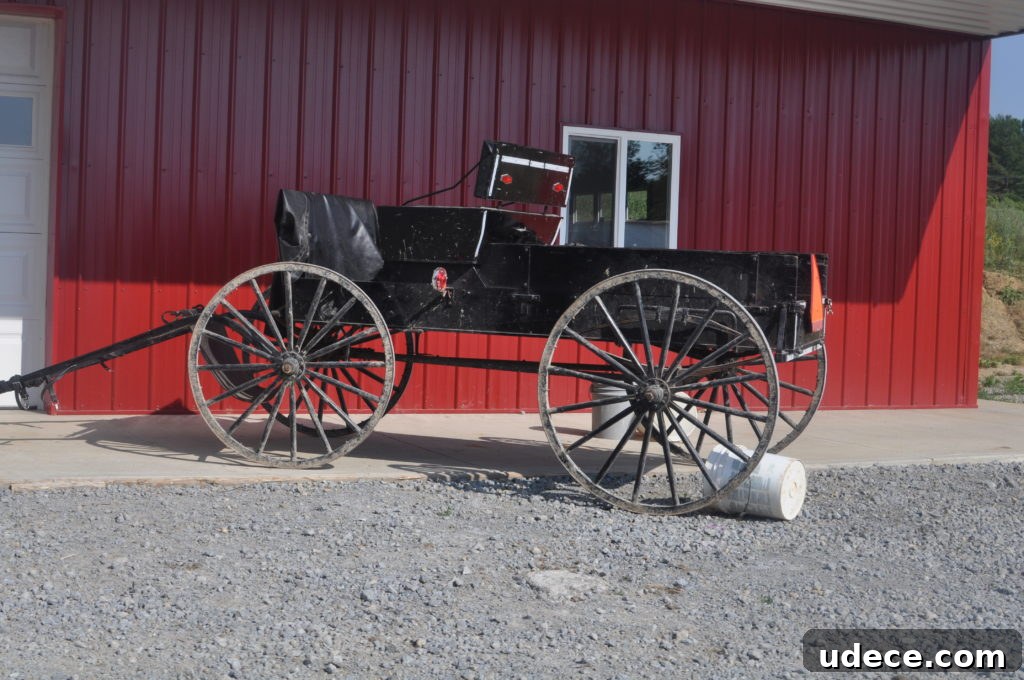 Open buggy in Highland County Ohio