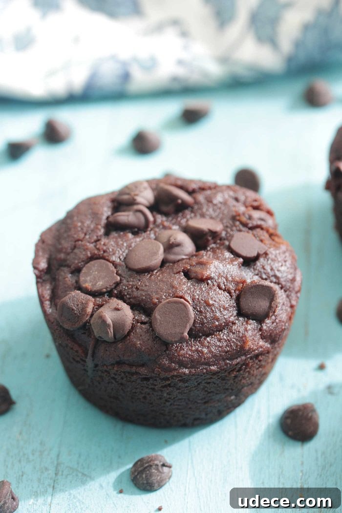 Chocolate Protein Blender Muffins — Quick No-Fuss Recipe 5 Chocolate Protein Blender Muffins on a turquoise board with chocolate chips