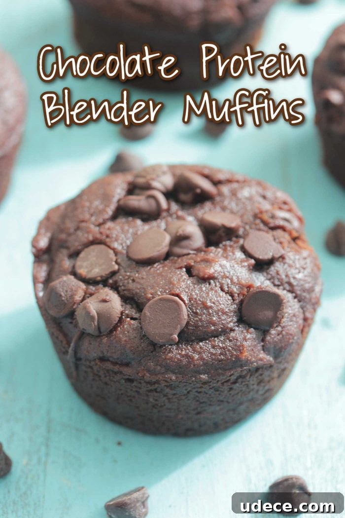 Chocolate Protein Blender Muffins — Quick No-Fuss Recipe 8 Chocolate Protein Blender Muffins