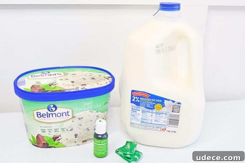 Shamrock Shake Recipe: Refreshing Minty Milkshake for St. Patrick’s Day 4 Half gallon of mint chocolate chip ice cream, gallon of 2% milk, leaf green food coloring, and 3 Andes Mint candies on countertop