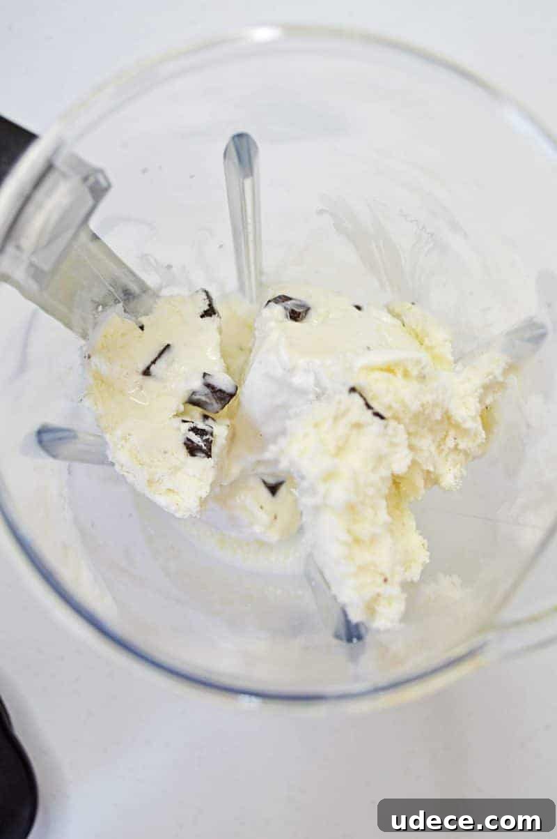 Shamrock Shake Recipe: Refreshing Minty Milkshake for St. Patrick’s Day 5 Mint chocolate chip ice cream in blender
