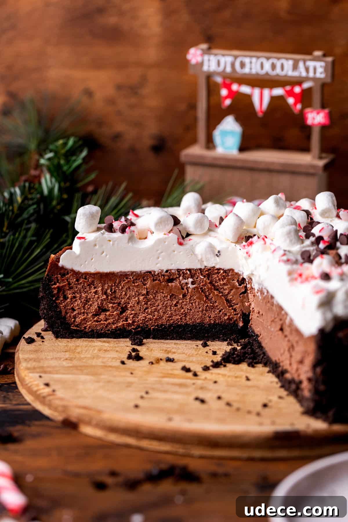Side view of cheesecake.