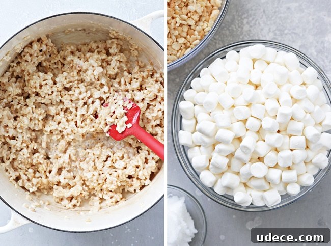 Dairy-Free Rice Krispies Treats: Crispy No-Milk Recipe 3 Marshmallows and rice cereal in a pot and then in small bowls.