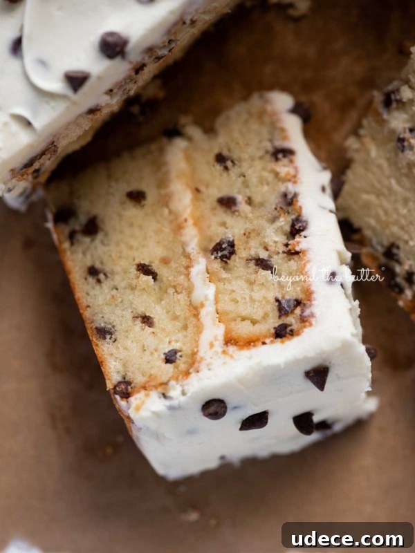 Moist Single-Layer Vanilla Bean Cake Recipe 5 Slice of 2 layer chocolate chip cake on it's side on a brown paper background.