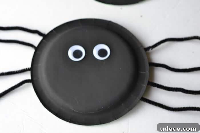 Cute Paper Plate Spider Craft for Kids — Step-by-Step Guide 6 eyes on spider