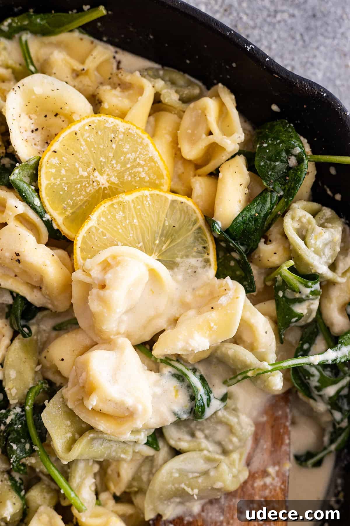 Creamy Lemon Tortellini Recipe with Garlic and Parmesan 5 Close up of pasta dish. Garnished with lemon slices.