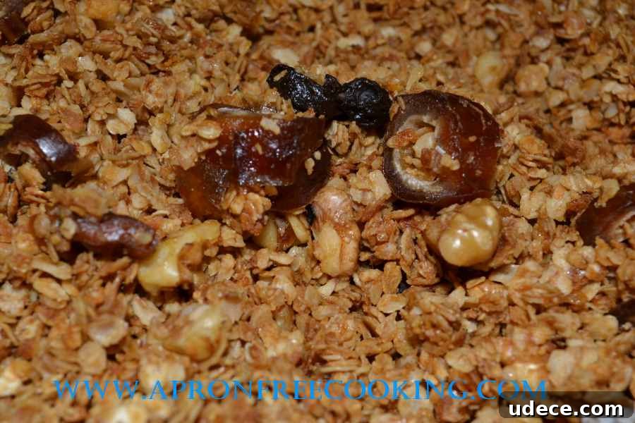 Granola Close Up