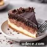 ombre cheesecake slice in plate (1)