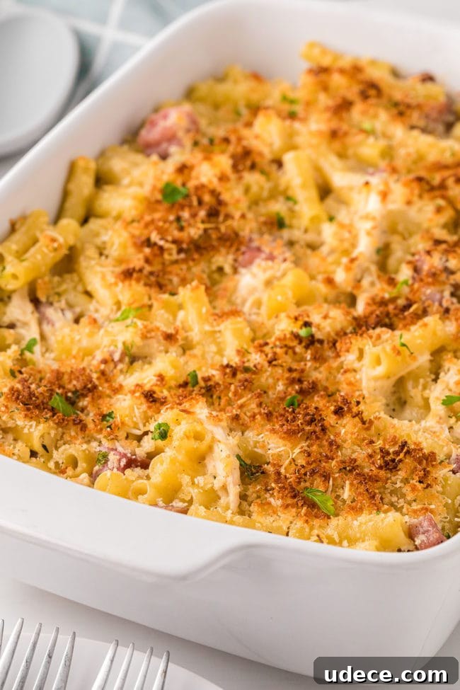 Creamy Chicken Cordon Bleu Pasta Bake 11 white baking dish filled with Chicken Cordon Bleu Casserole