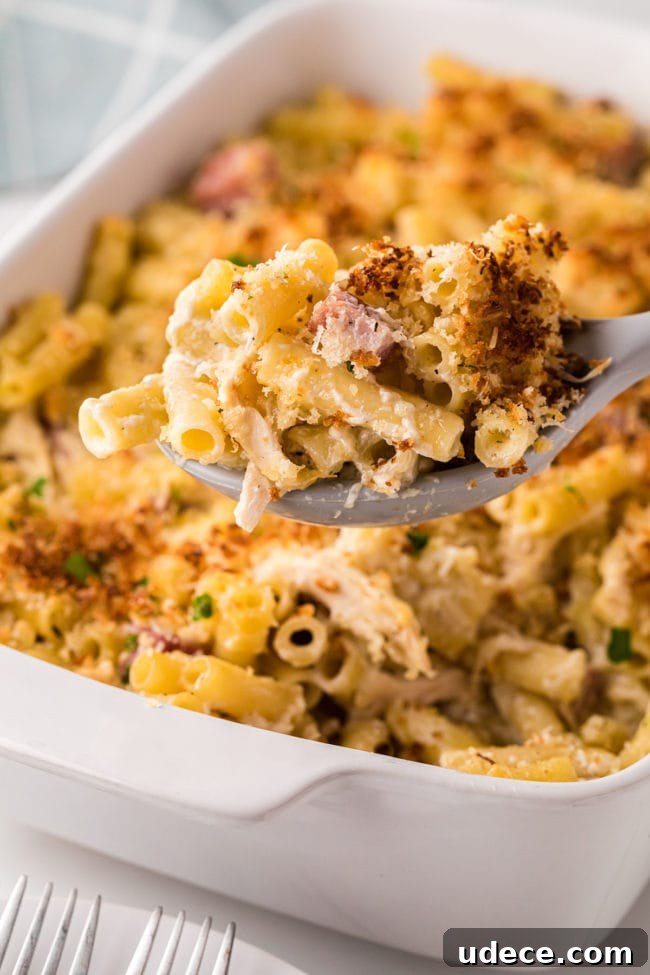 Creamy Chicken Cordon Bleu Pasta Bake 10 Chicken Cordon Bleu Casserole With Pasta on a serving spoon