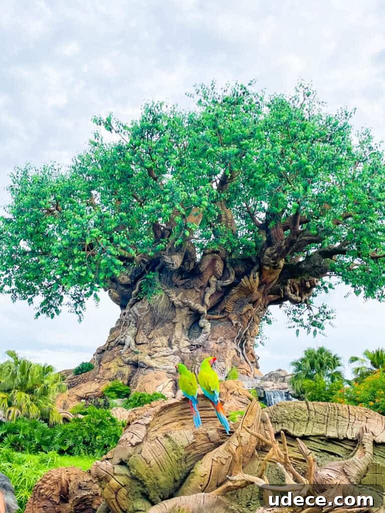 Discovering the Tree of Life at Disney's Animal Kingdom 3 Parrots sitting on a branch below Tree of Life.