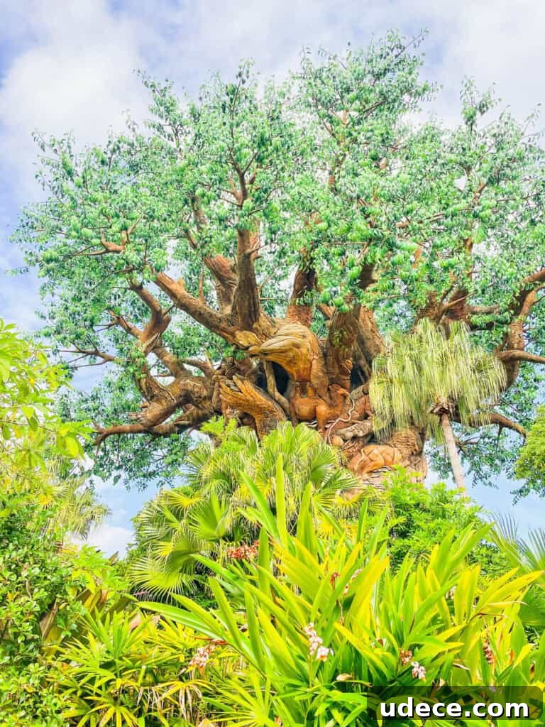 Discovering the Tree of Life at Disney's Animal Kingdom 5 closeup picture of the Tree of Life.