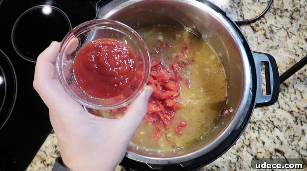 Instant Pot Deluxe Hamburger Stew Recipe in 30 Minutes 11 Adding ketchup to pot