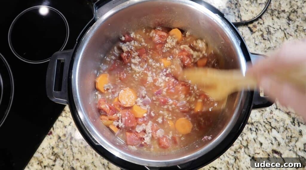 Instant Pot Deluxe Hamburger Stew Recipe in 30 Minutes 13 Stirring pot