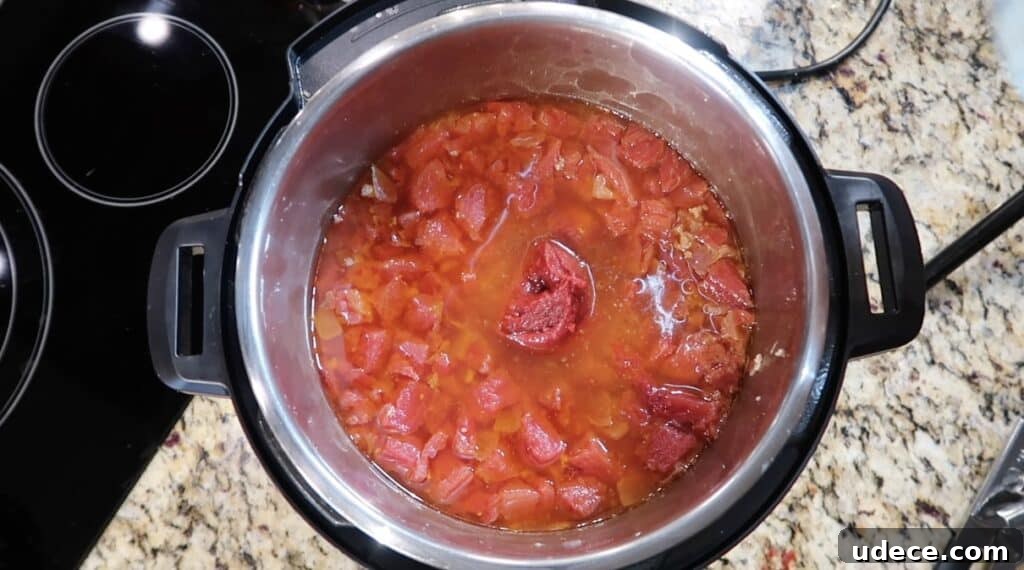 Instant Pot Deluxe Hamburger Stew Recipe in 30 Minutes 14 Adding tomato paste to pot