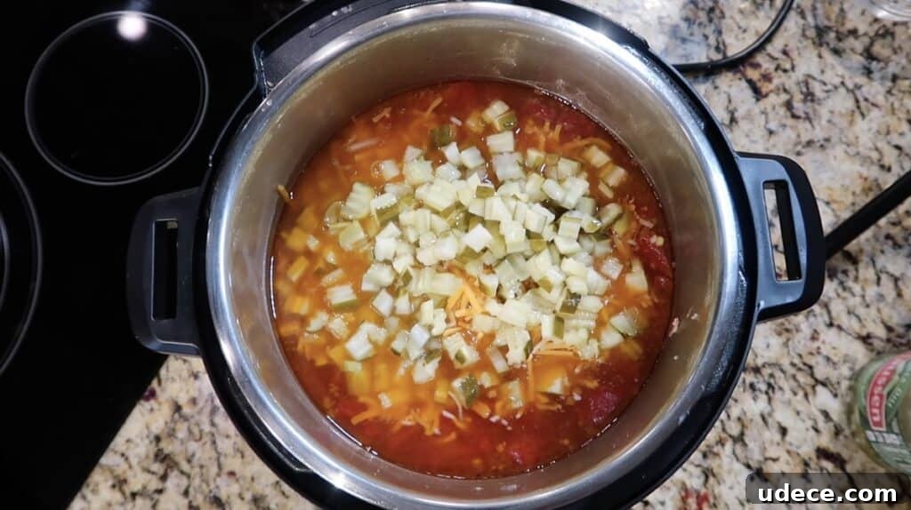 Instant Pot Deluxe Hamburger Stew Recipe in 30 Minutes 19 Finished pot
