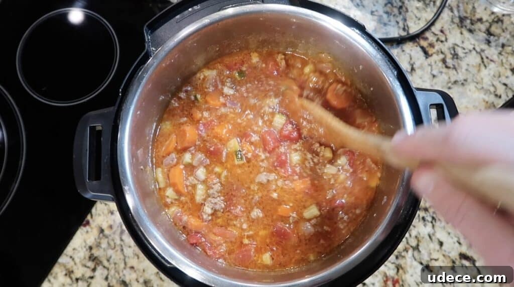 Instant Pot Deluxe Hamburger Stew Recipe in 30 Minutes 20 Stirring pot
