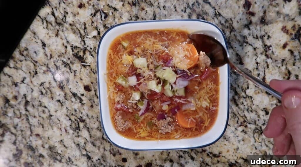 Instant Pot Deluxe Hamburger Stew Recipe in 30 Minutes 21 Soup in bowl